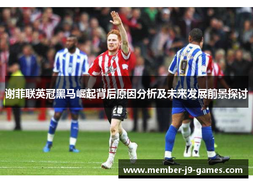 谢菲联英冠黑马崛起背后原因分析及未来发展前景探讨